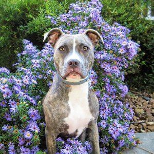 Meet your Posher, Deanna